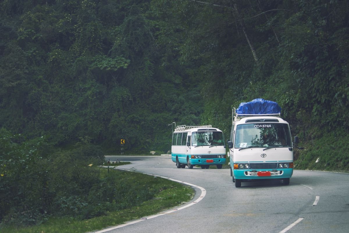 Two tour coaches on a winding forest road