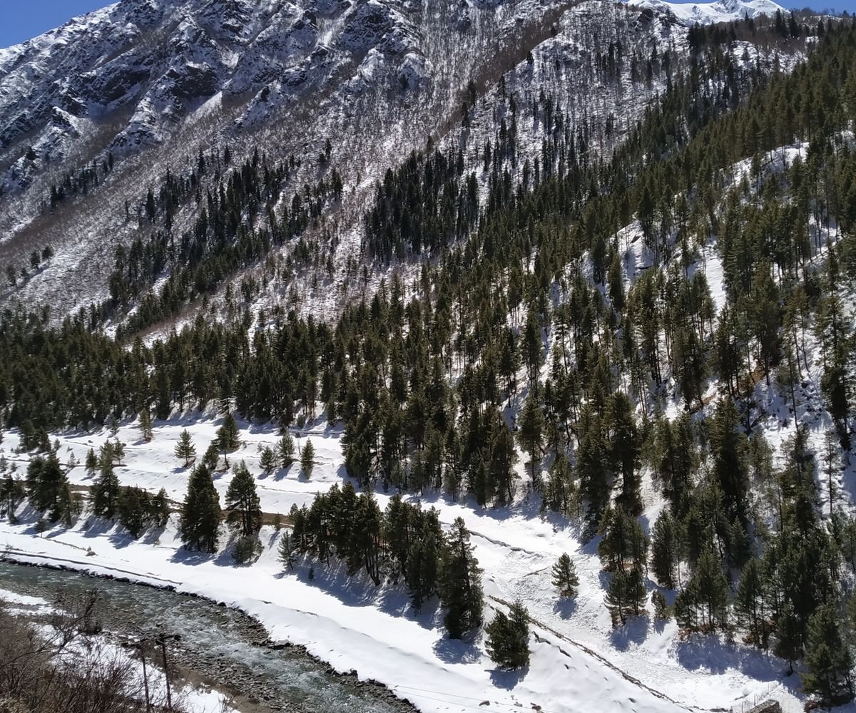 Chitkul