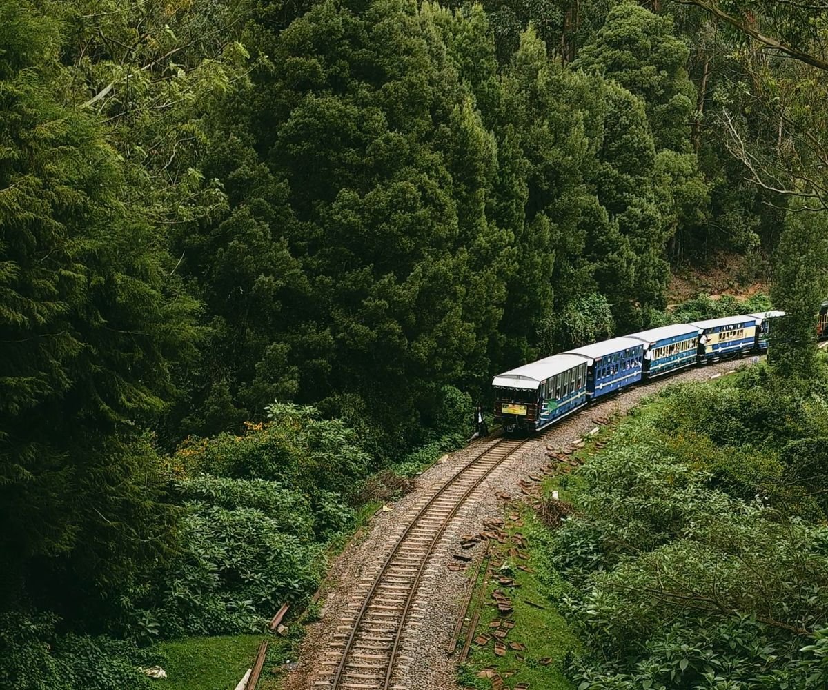 The Nilgiri Mountain Railway